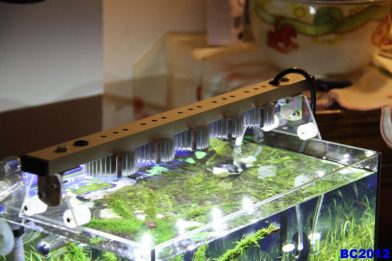 Led лампы для аквариума своими руками 65